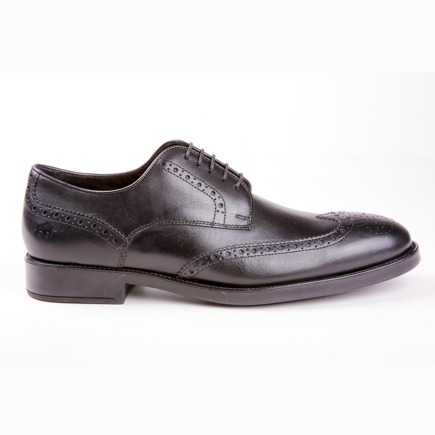 Sapato Masculino Aquila Brogue
