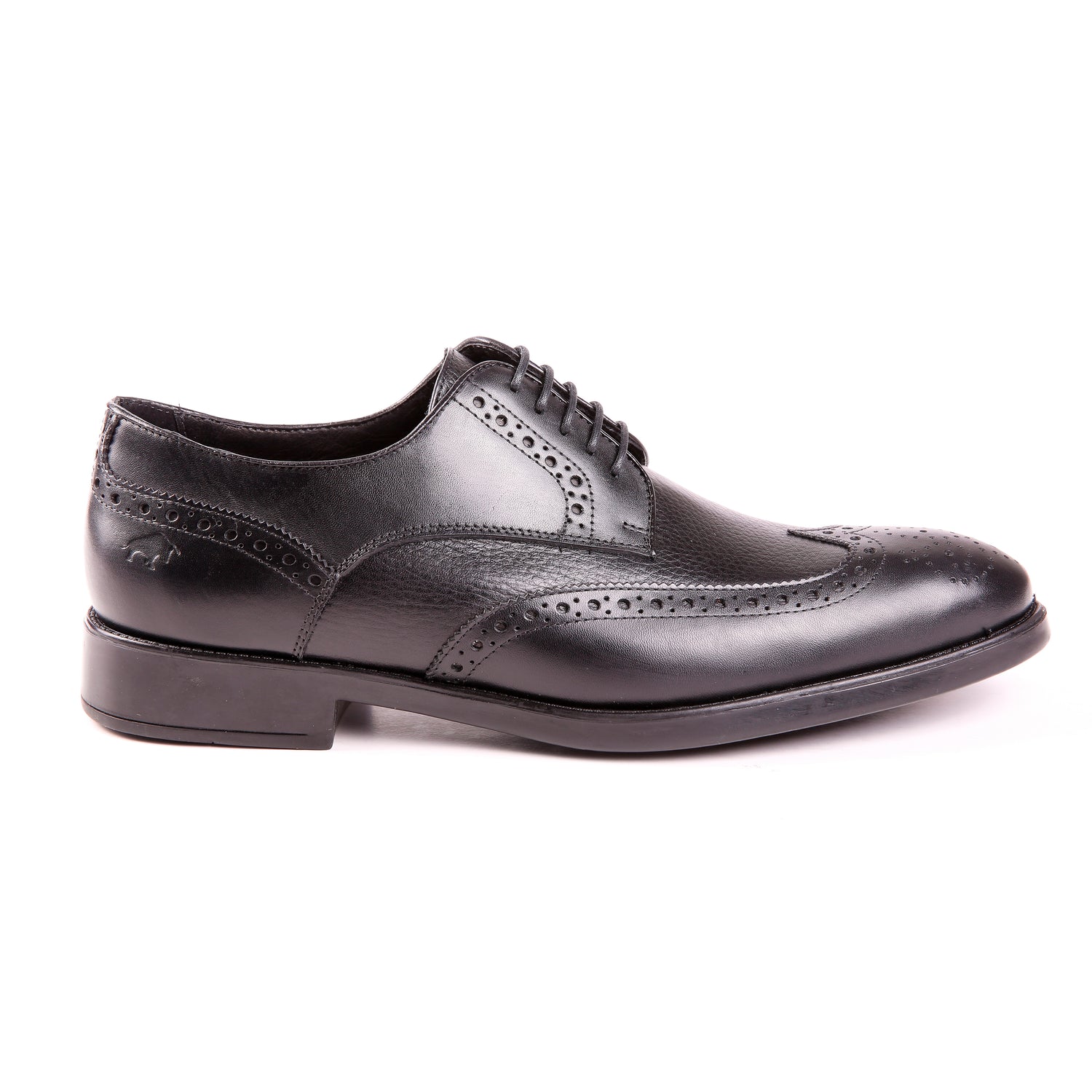 Sapato Masculino Aquila Brogue
